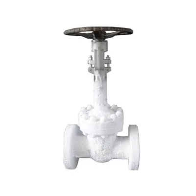 Криогенна клапа на вратата