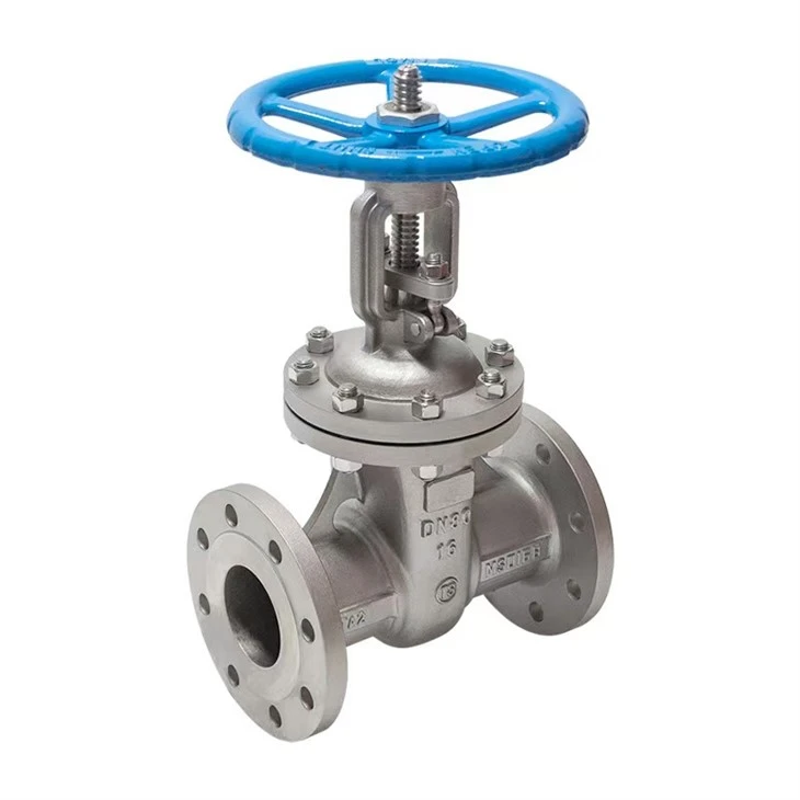 Titanium Gate Valve